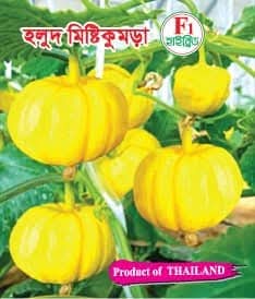 ১ প্যাকেটের দাম ৪৯৯ টাকা