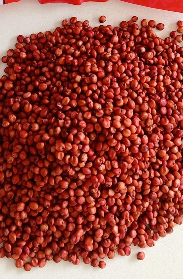 গুয়েত মালা ঘাস বীজ ১ কেজি মাত্র ৯৫০ টাকা