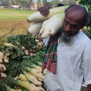 ভান্ডারী মুলা ২ প্যাকেট = ৮৫০ টাকা