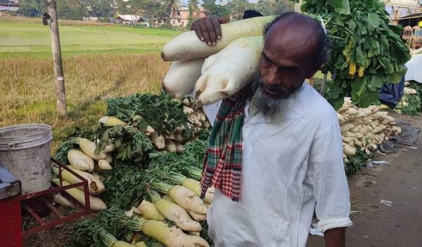 ভান্ডারী মুলা ১ প্যাকেট = ৪৫০ টাকা